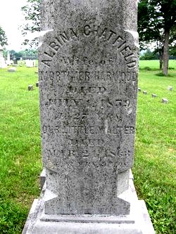CHATFIELD Albina 1832-1859 grave.jpg